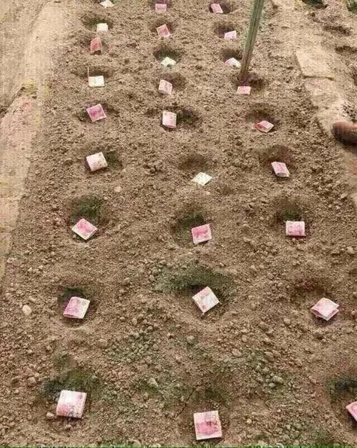 现在钱不好找了,还是回家种地吧.
