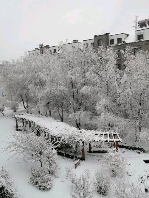 长春四月二十一号连续三天大雪纷飞
