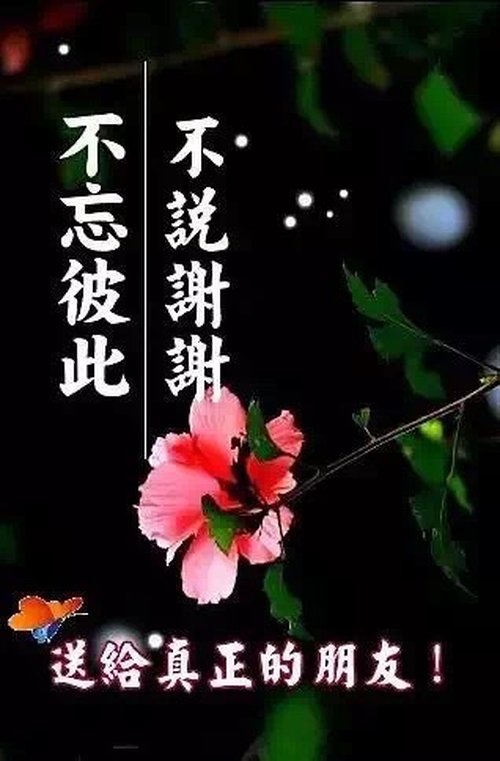 1040工程,资本运作,微商,对不起,请你们让道,我只想找个真心的爱人,不